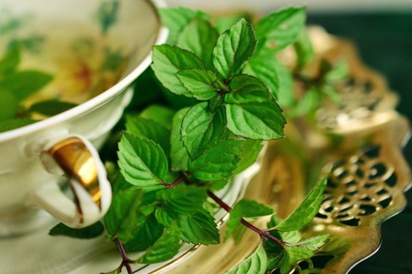 Ödem Söktürücü Bitki Çayları - Ödem Atıcı Maydanoz Çayı